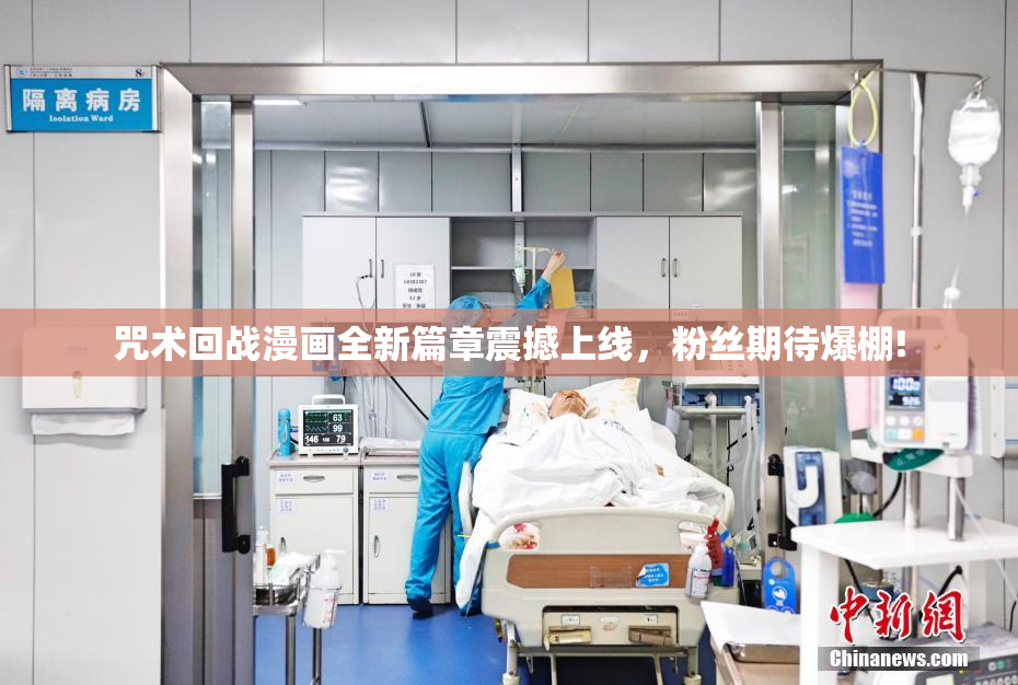 咒术回战漫画全新篇章震撼上线，粉丝期待爆棚!