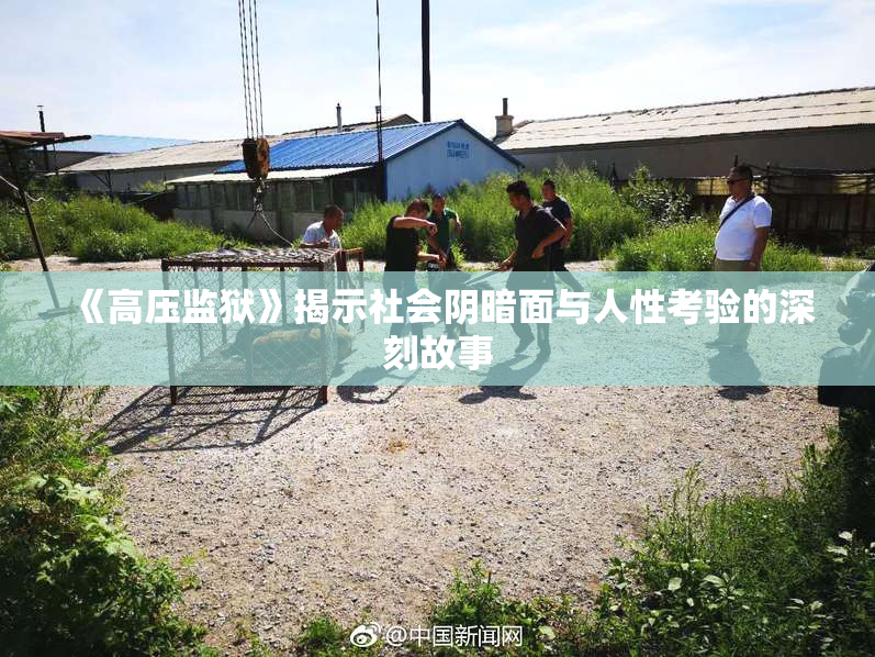 《高压监狱》揭示社会阴暗面与人性考验的深刻故事