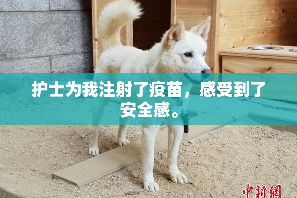 护士为我注射了疫苗，感受到了安全感。
