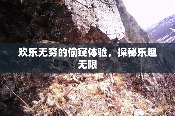 欢乐无穷的偷窥体验，探秘乐趣无限