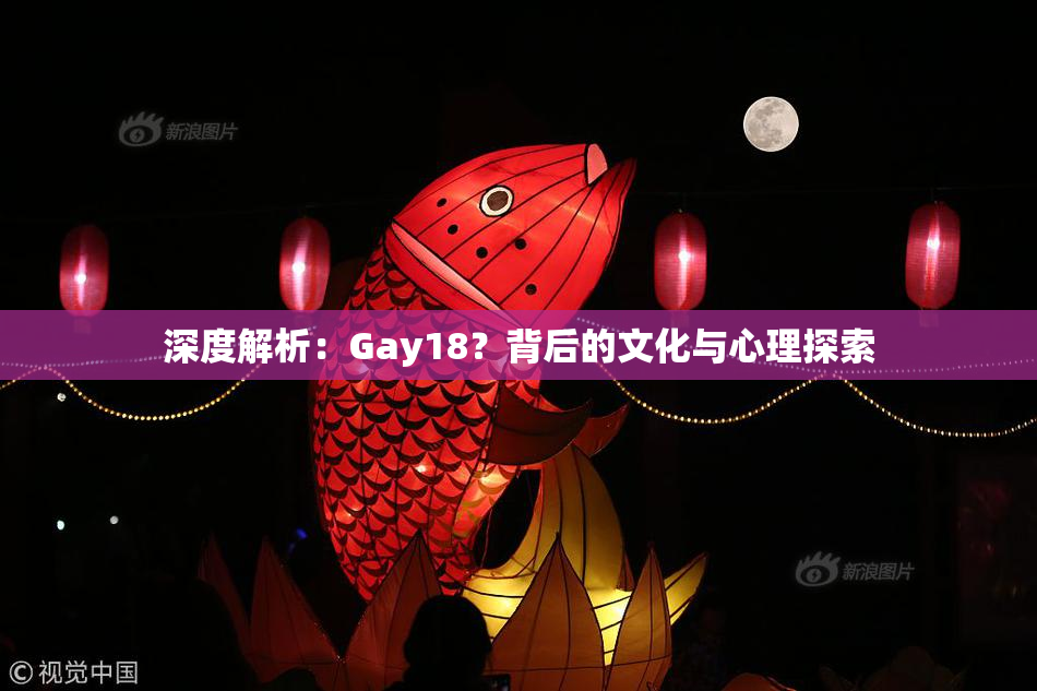 深度解析：Gay18？背后的文化与心理探索