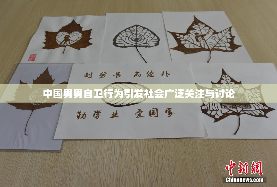 中国男男自卫行为引发社会广泛关注与讨论