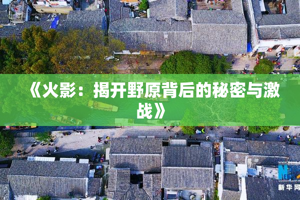 《火影：揭开野原背后的秘密与激战》