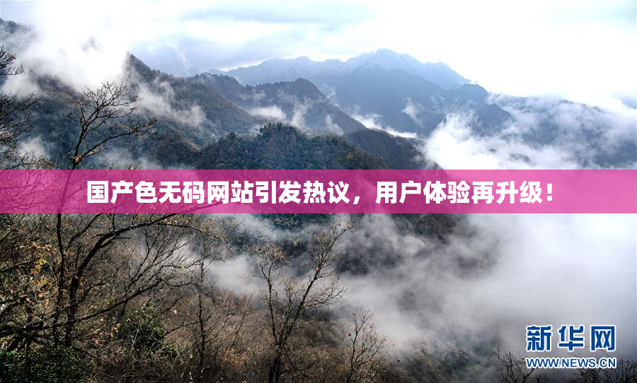 国产色无码网站引发热议，用户体验再升级！
