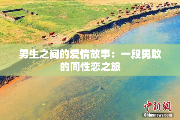 男生之间的爱情故事：一段勇敢的同性恋之旅