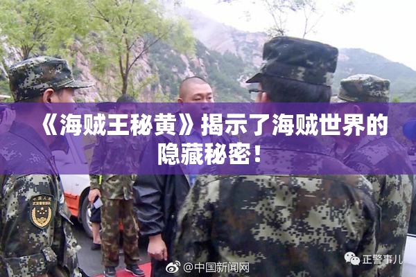 《海贼王秘黄》揭示了海贼世界的隐藏秘密！