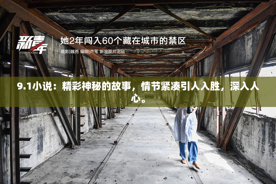 9.1小说：精彩神秘的故事，情节紧凑引人入胜，深入人心。
