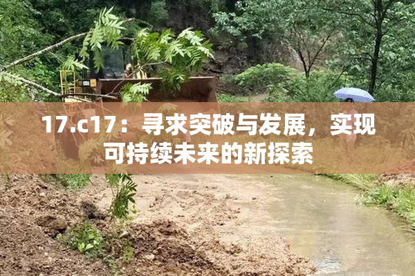 17.c17：寻求突破与发展，实现可持续未来的新探索