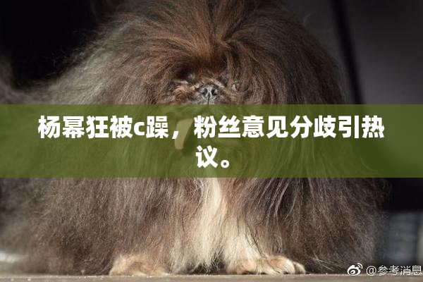 杨幂狂被c躁，粉丝意见分歧引热议。