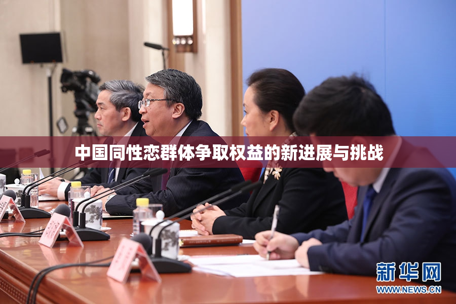 中国同性恋群体争取权益的新进展与挑战