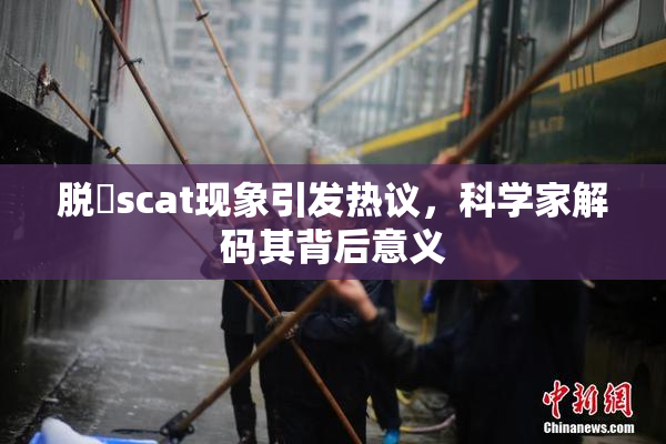 脱糞scat现象引发热议，科学家解码其背后意义