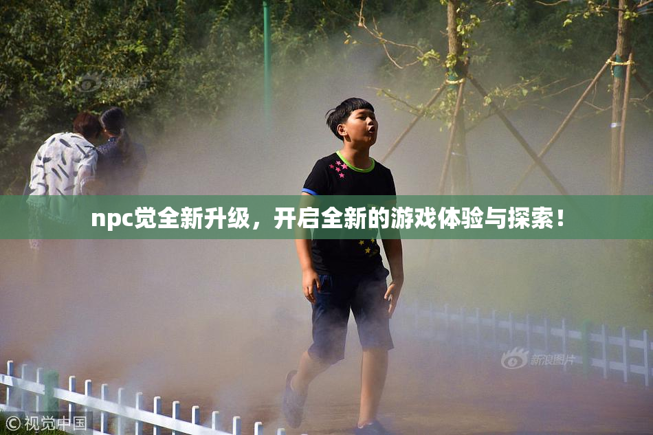 npc觉全新升级，开启全新的游戏体验与探索！