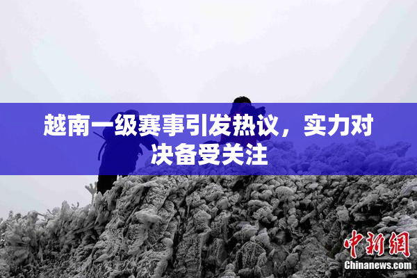 越南一级赛事引发热议，实力对决备受关注