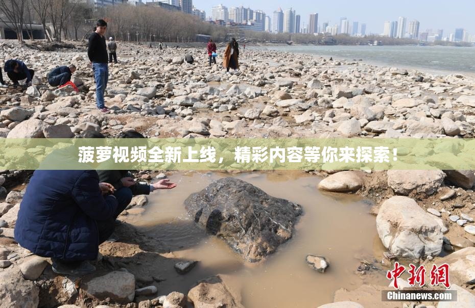 菠萝视频全新上线，精彩内容等你来探索！