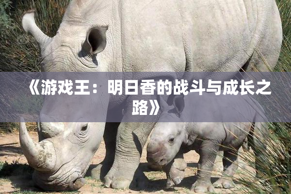 《游戏王：明日香的战斗与成长之路》