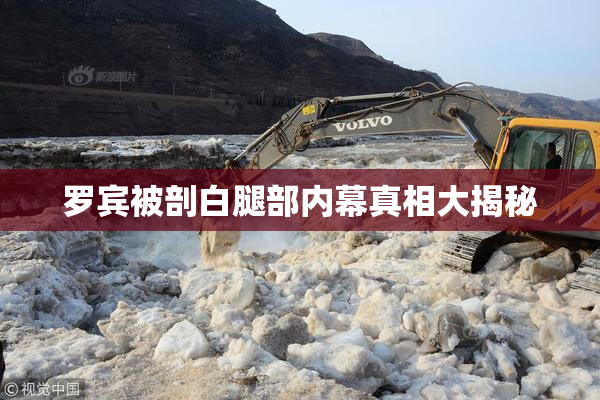 罗宾被剖白腿部内幕真相大揭秘