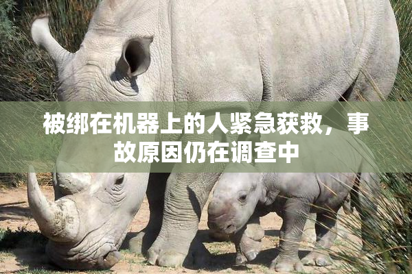 被绑在机器上的人紧急获救，事故原因仍在调查中