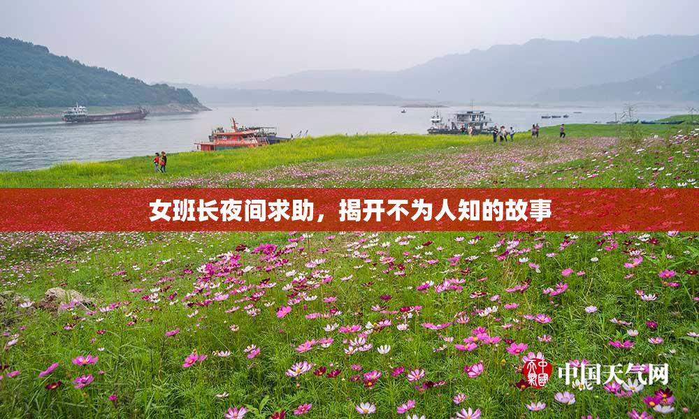 女班长夜间求助，揭开不为人知的故事