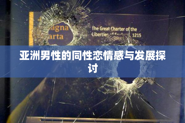 亚洲男性的同性恋情感与发展探讨