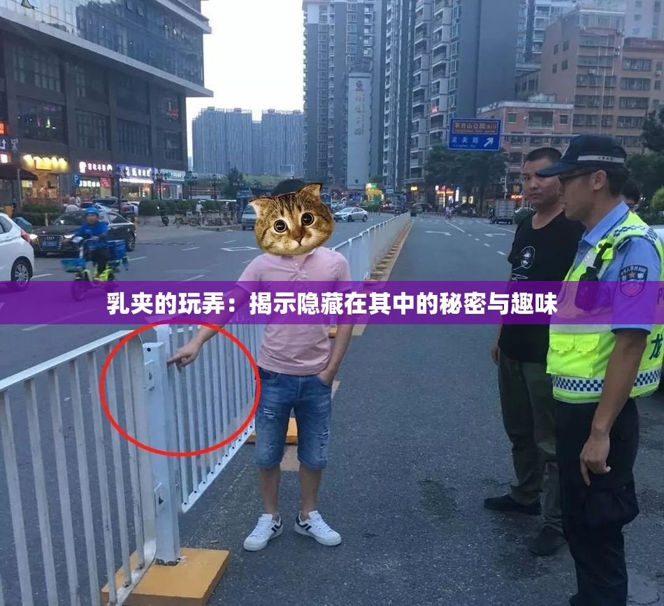 乳夹的玩弄：揭示隐藏在其中的秘密与趣味