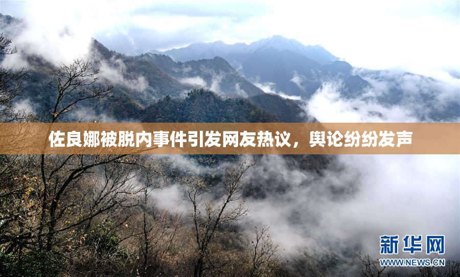 佐良娜被脱内事件引发网友热议，舆论纷纷发声