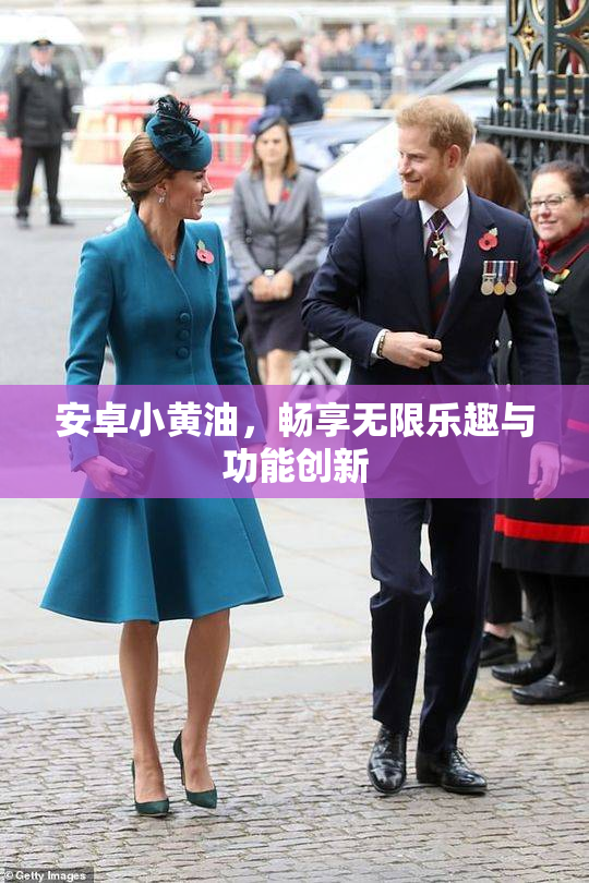 安卓小黄油，畅享无限乐趣与功能创新