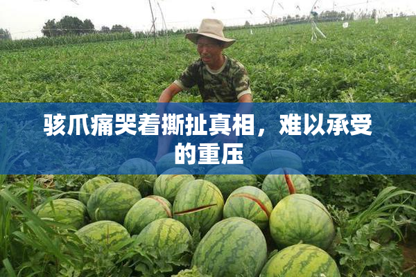 骇爪痛哭着撕扯真相，难以承受的重压