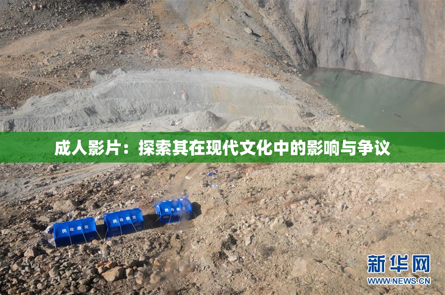 成人影片：探索其在现代文化中的影响与争议