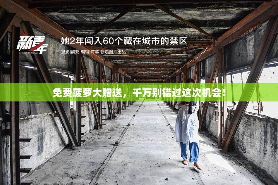 免费菠萝大赠送，千万别错过这次机会！