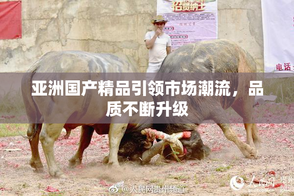 亚洲国产精品引领市场潮流，品质不断升级
