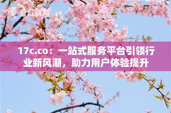 17c.co：一站式服务平台引领行业新风潮，助力用户体验提升