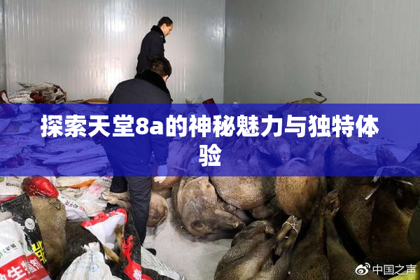 探索天堂8a的神秘魅力与独特体验