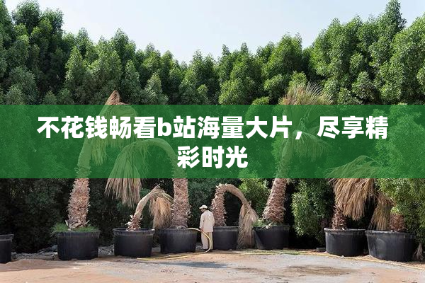 不花钱畅看b站海量大片，尽享精彩时光