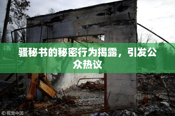 骚秘书的秘密行为揭露，引发公众热议