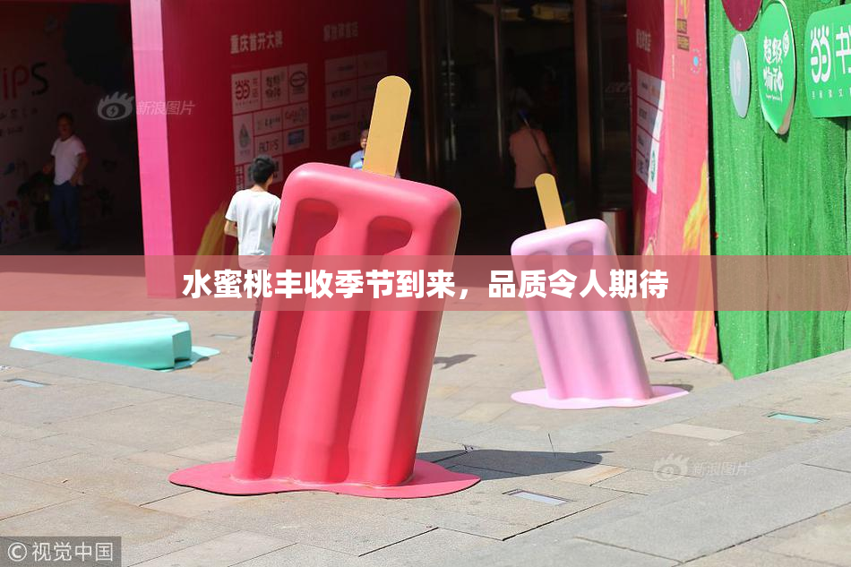 水蜜桃丰收季节到来，品质令人期待