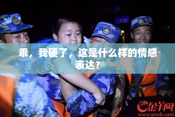 乖，我硬了，这是什么样的情感表达？