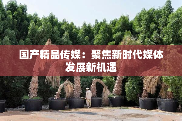 国产精品传媒：聚焦新时代媒体发展新机遇