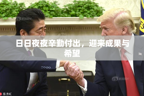 日日夜夜辛勤付出，迎来成果与希望