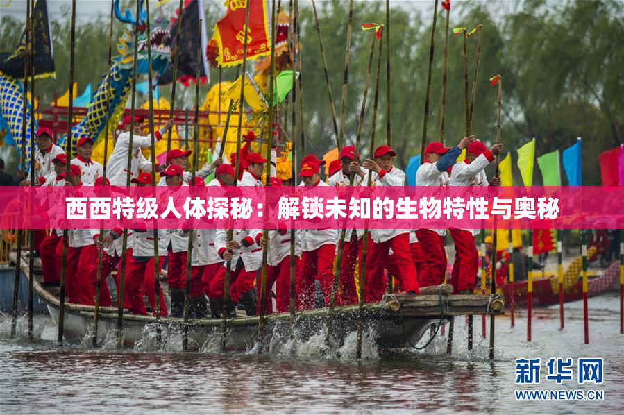 西西特级人体探秘：解锁未知的生物特性与奥秘