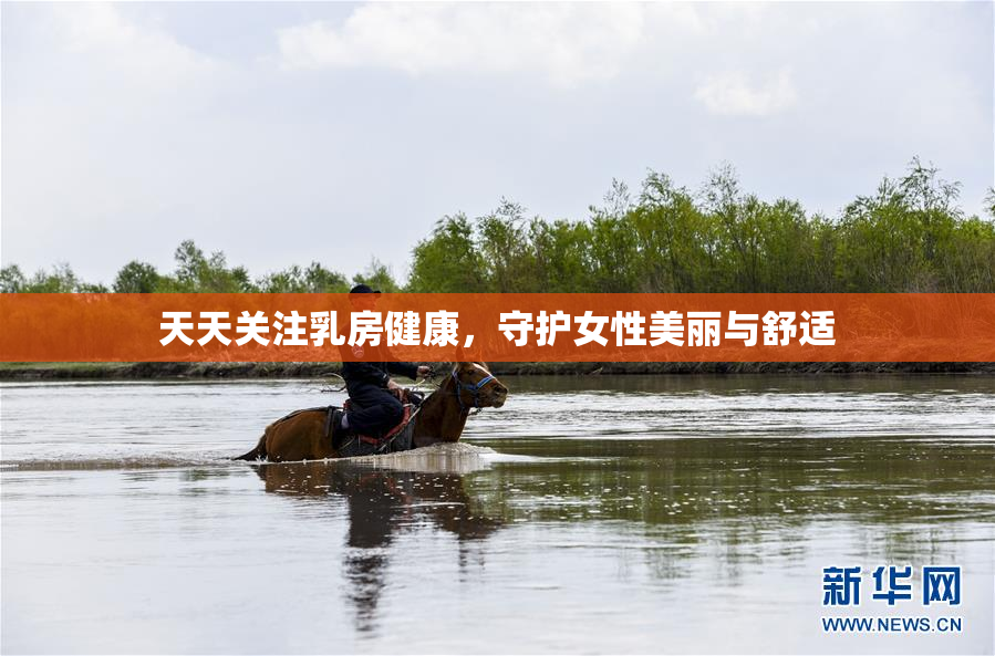 天天关注乳房健康，守护女性美丽与舒适