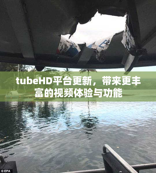 tubeHD平台更新，带来更丰富的视频体验与功能