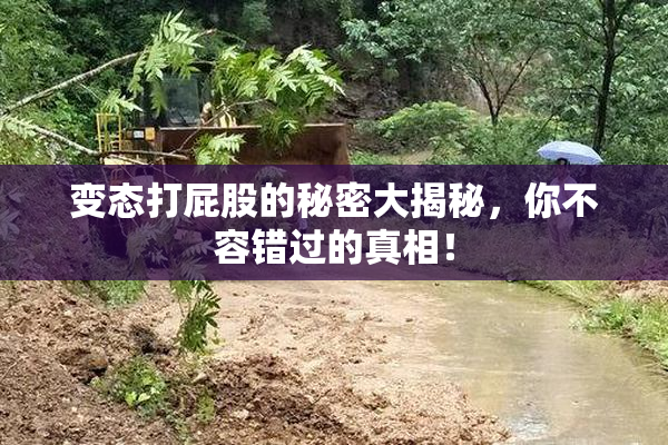 变态打屁股的秘密大揭秘，你不容错过的真相！