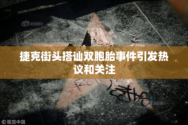 捷克街头搭讪双胞胎事件引发热议和关注