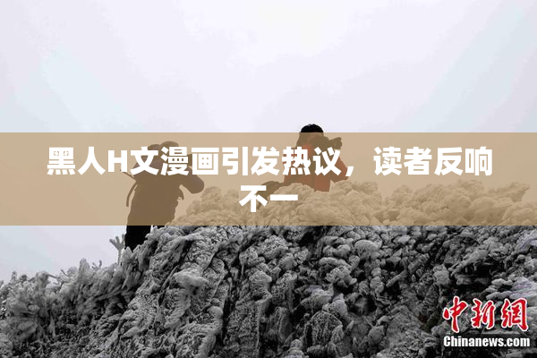 黑人H文漫画引发热议，读者反响不一