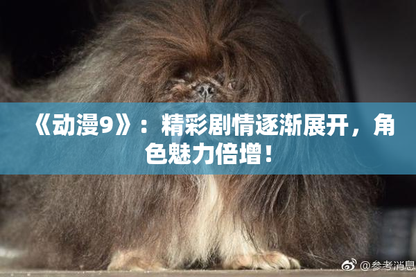 《动漫9》：精彩剧情逐渐展开，角色魅力倍增！