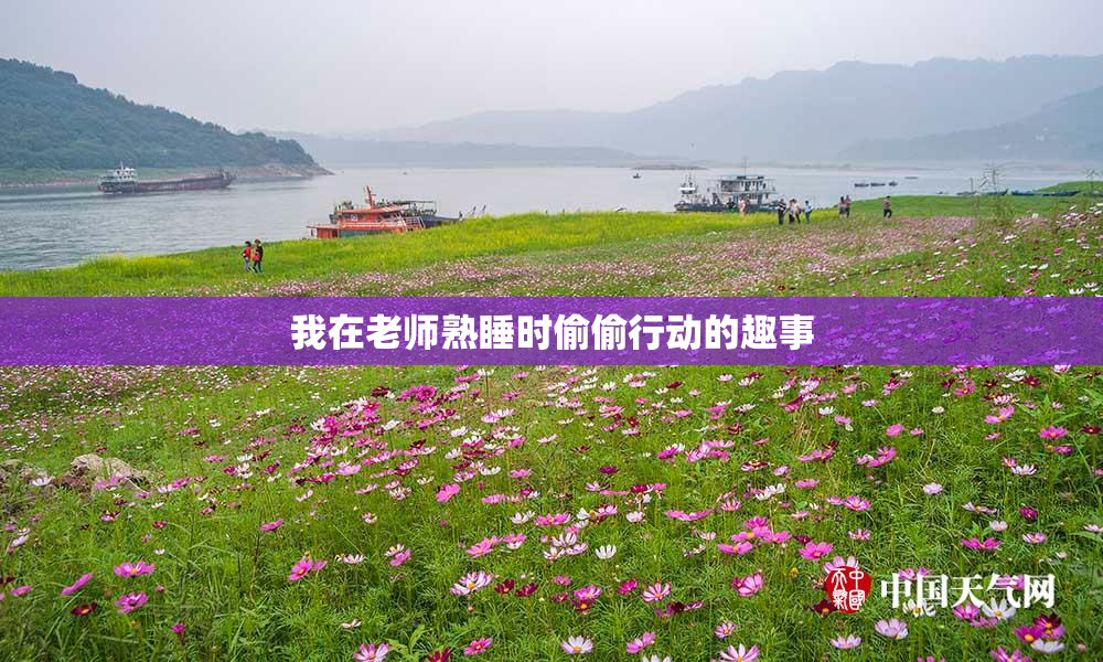我在老师熟睡时偷偷行动的趣事