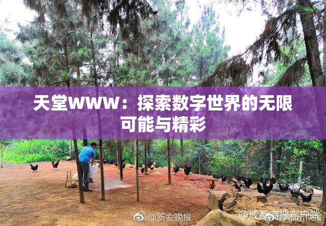 天堂WWW：探索数字世界的无限可能与精彩