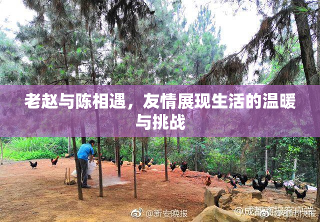 老赵与陈相遇，友情展现生活的温暖与挑战