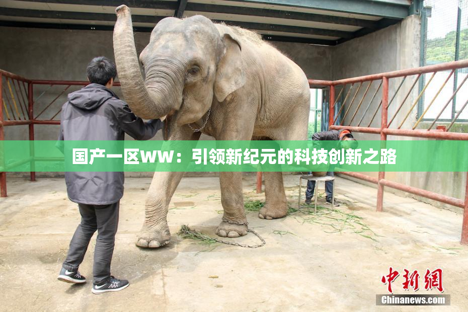 国产一区WW：引领新纪元的科技创新之路
