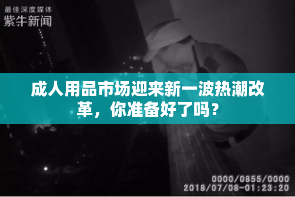 成人用品市场迎来新一波热潮改革，你准备好了吗？